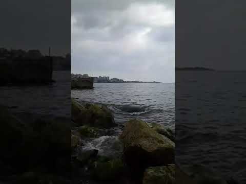 راجع ع سوريا راجع الك يادار