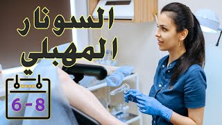 السونار المهبلي | متي يظهر كيس الحمل | متى ينبض قلب الجنين