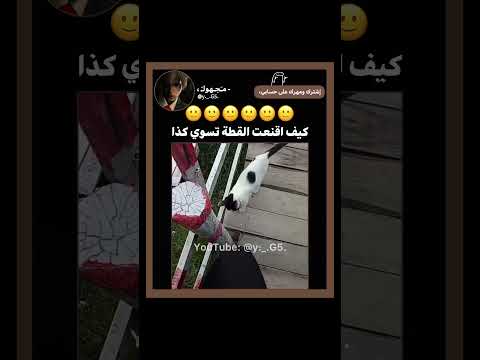 ف اكتب زيادة وخلي الكيبورد يكمل 