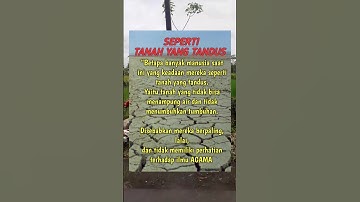 Kata kata Motivasi Diri #shorts #short #motivasi