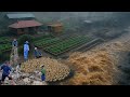 My Off-Grid Farm Survived a Massive Flood and Rebuilt Stronger