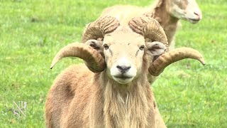 Feds warn Cranbury about efforts to seize farm for housing