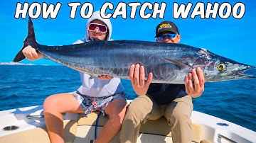 How to Catch WAHOO – Best Lures, Baits, Gear & Trolling Tactics
