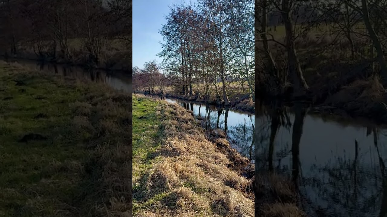 Поле, ручей.Feld, Bach.Field, stream. 