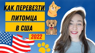 БАН 2022🇺🇸КАК ПЕРЕВЕЗТИ СОБАКУ И КОТА В США.как перевезти кота в сша.как перевезти собаку в сша