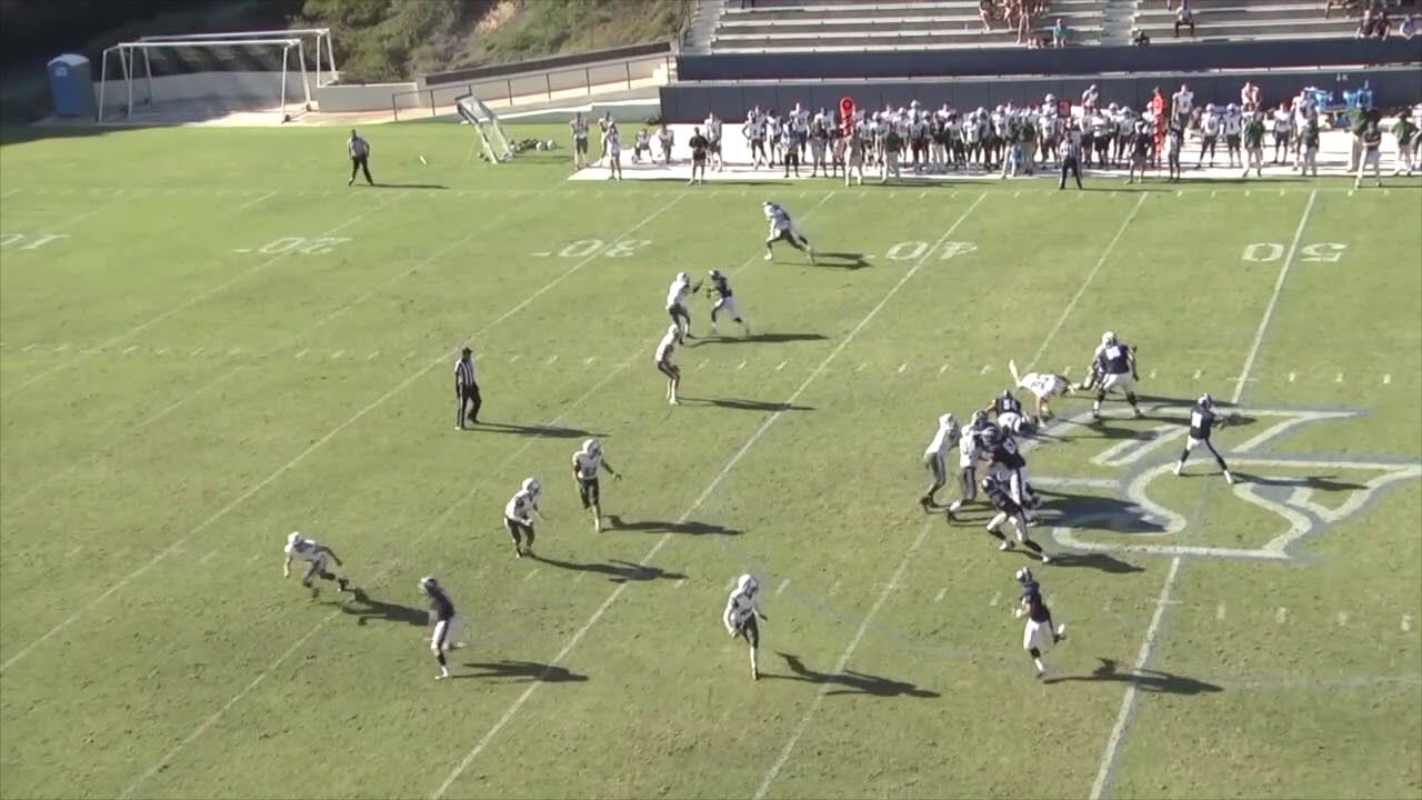 2019年 X1スーパー 新外国人選手 パナソニック インパルス アメフトいかがですか