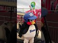 カートで運ばれるつば九郎 つばみ スライリー #プロ野球