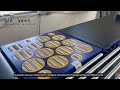 High-Speed Wheel Sorter Machine: The Ultimate Solution for Parcel Sorting Systems#WheelSorter