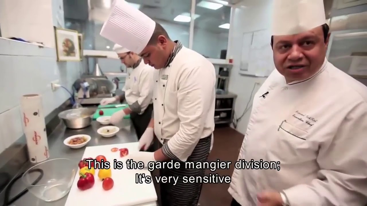 Cook طباخ - مساعد شيف