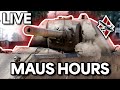LIVE - END OF THE YEAR MAUSENING