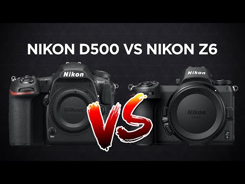 Nikon D500 vs Nikon Z6 - Is DSLR or Mirrorless Best?