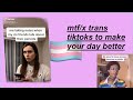 transfemme comedy gold tiktoks