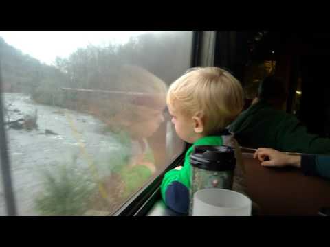 Videos from Great Smoky mountains railroad, very cute!