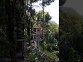 Relaxing place in Bulacan #moi #nature