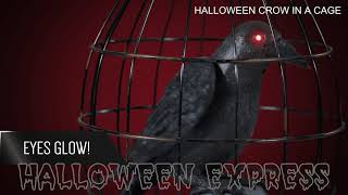 Crow In Cage Animated SS50448G