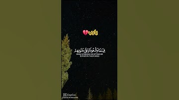 الذين يذكرون الله 💔💚💚 #تلاوة_خاشعة #ترند #quran #قران_كريم #ارح_قلبك #استغفرالله #صلوا_على_النبي #tv