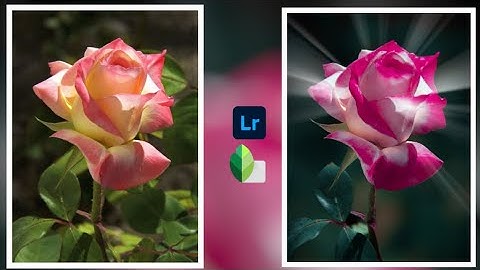 Flower Mobile Editing Tutorial | Lightroom Color Grading | lens Distortion  New photo editing
