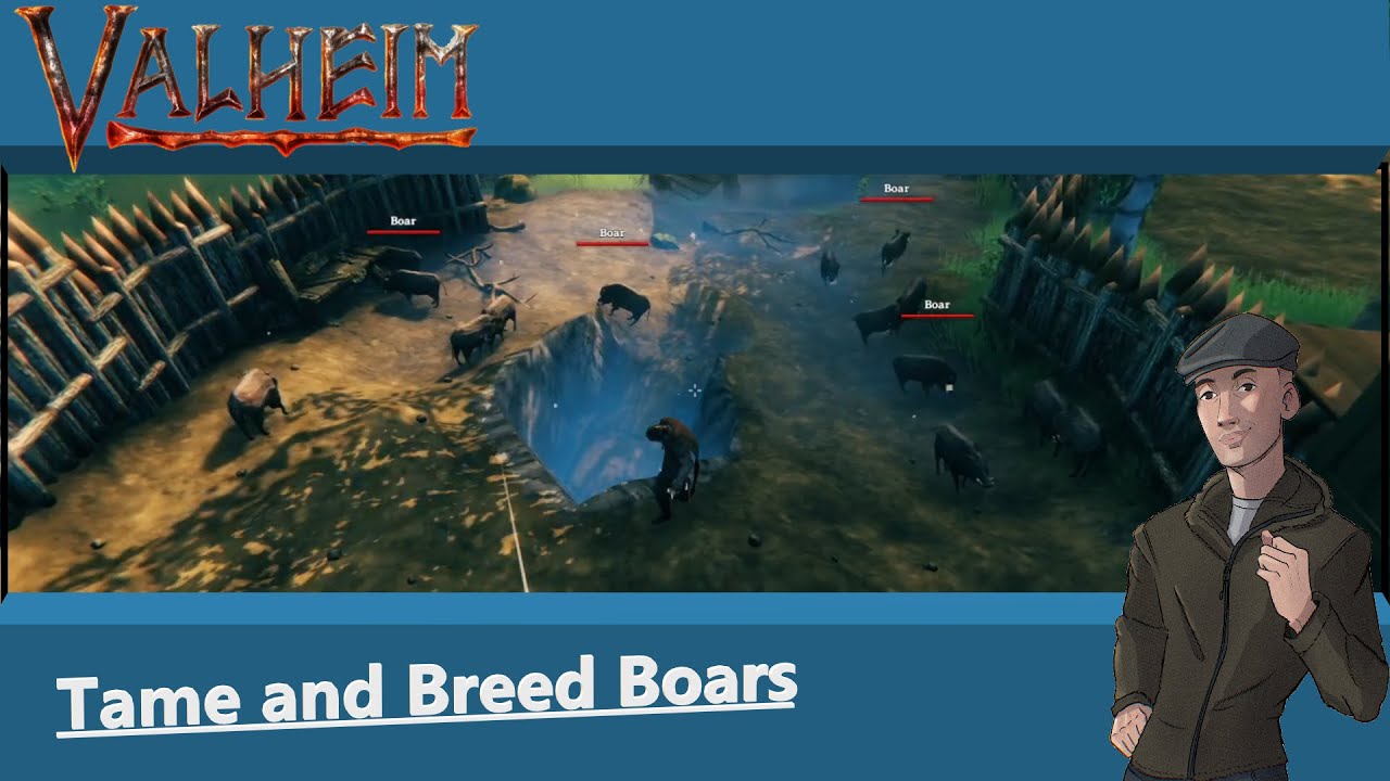 How To Tame And Breed Boars In Valheim YouTube how-to-tame-and-breed-boars-in-valheim-youtube