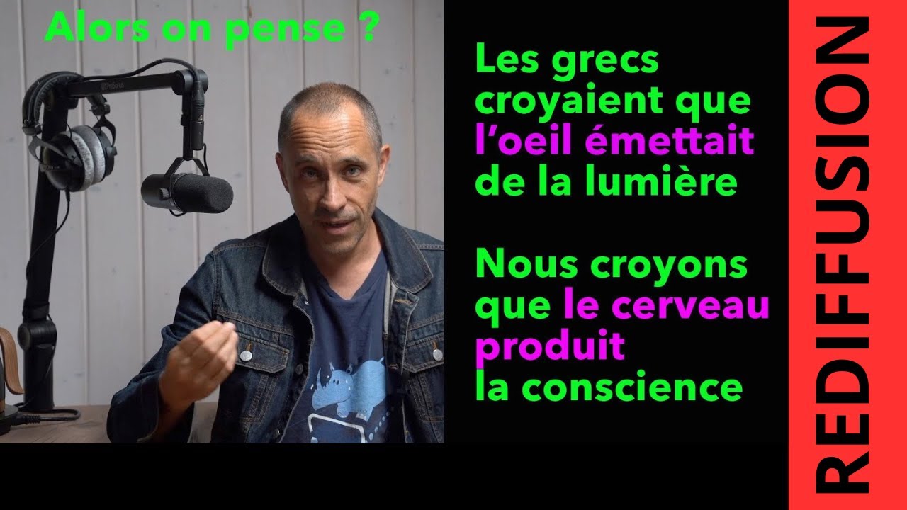 Le cerveau, on a peut être tout faux !