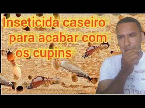 Vídeo: Posso usar vinagre para matar cupins?