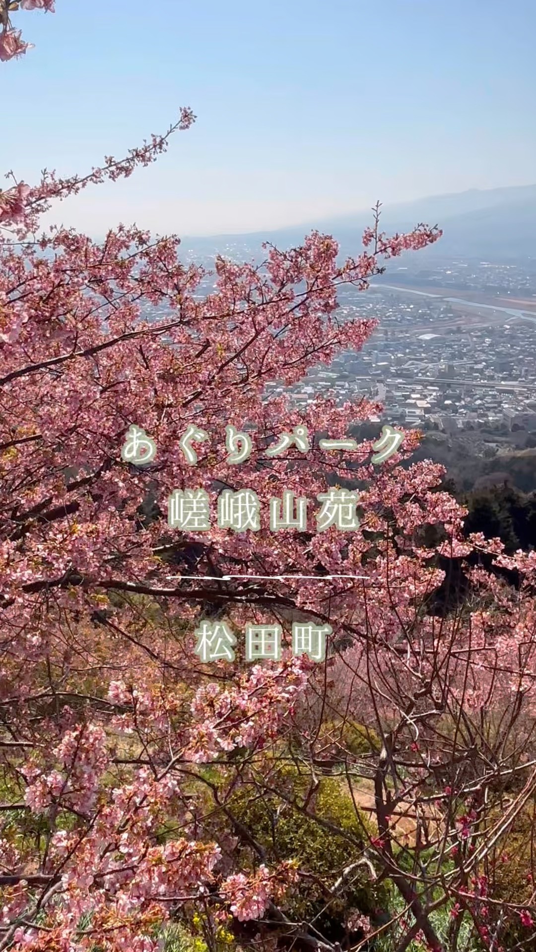 Matsuda Town] Agri Park Sagayamaen 🌸 A short hike leads to the