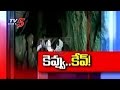 Green coloured caves discovered in Nalgonda