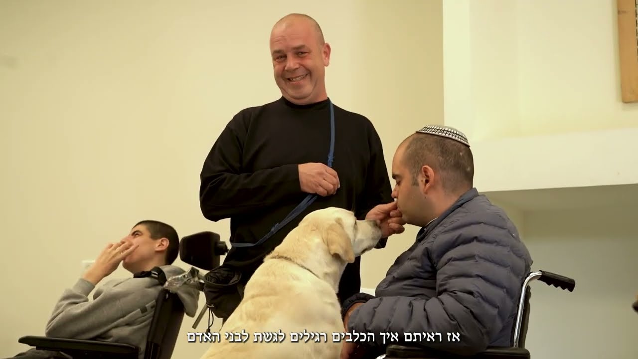 כלבנות טיפולית במבואות החרמון