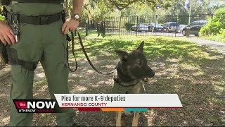 Plea for more K-9 deputies