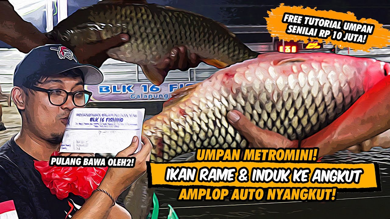 KEJAR2AN TOTAL SAMPE TIBAN2AN INDUK! UMPAN METROMINI BIKIN MANCING GALAPUNG MALAM HARI SIBUK! BLK 16