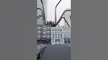 Thumbnail of Arachnophobia #shorts