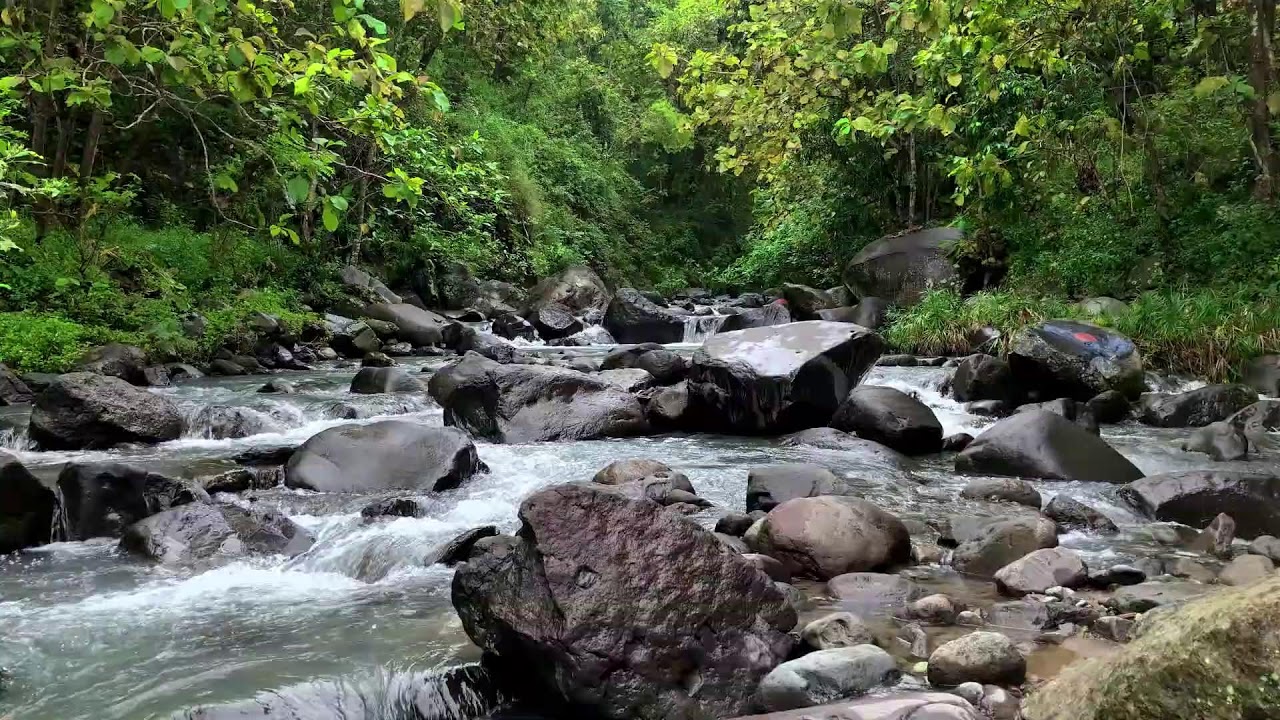 Calming river sound from forest stream helping your brain slow down into deep sleep