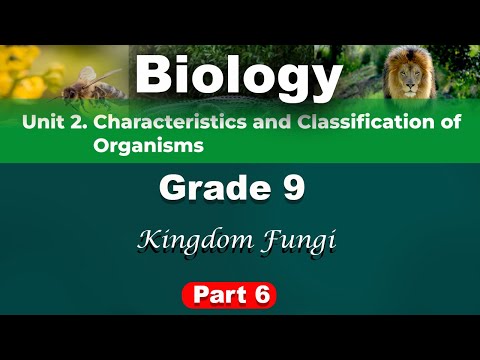 Grade 9 Biology Unit 2 Part 6 Kingdom Fungi