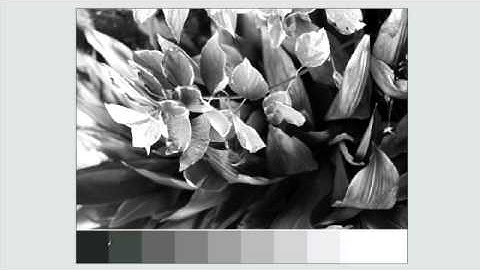 Exposure :: Photography Basics