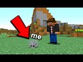 Minecraft but I troll disguised as a silver fish