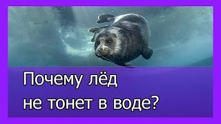 Почему лёд не тонет в воде   загадки воды