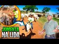 A JUMENTINHA É PEQUENA MAIS BOA DE LIDA