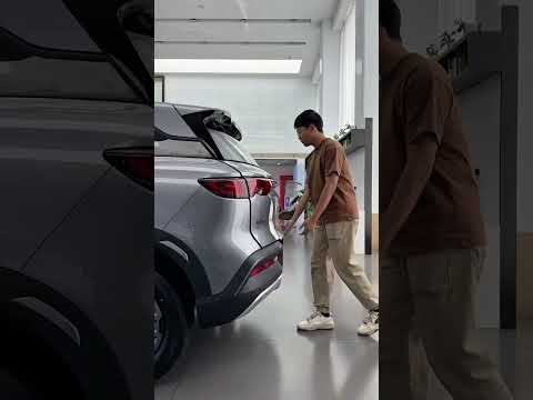 Byd yuan up