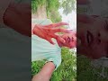 Blocklist🚫❤️ | ব্লকলিস্ট | Kundan Kumar | New Purulia Video Song 2025 #viral #shorts