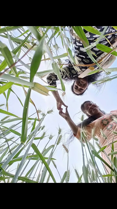 sister love❤️🫂 #music #song #sister #nature #ytshorts #shorts