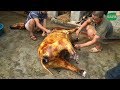 THẮNG CỐ NGỰA ĐÁM CƯỚI NGƯỜI GIÁY 85 MÂM 1 NGỰA 2 LỢN 87kg Ngan ( P4 ) SAPA TV