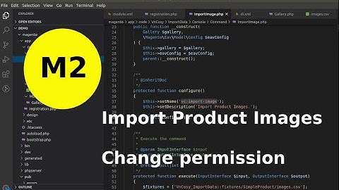 Magento 2: Import and change permission for product images