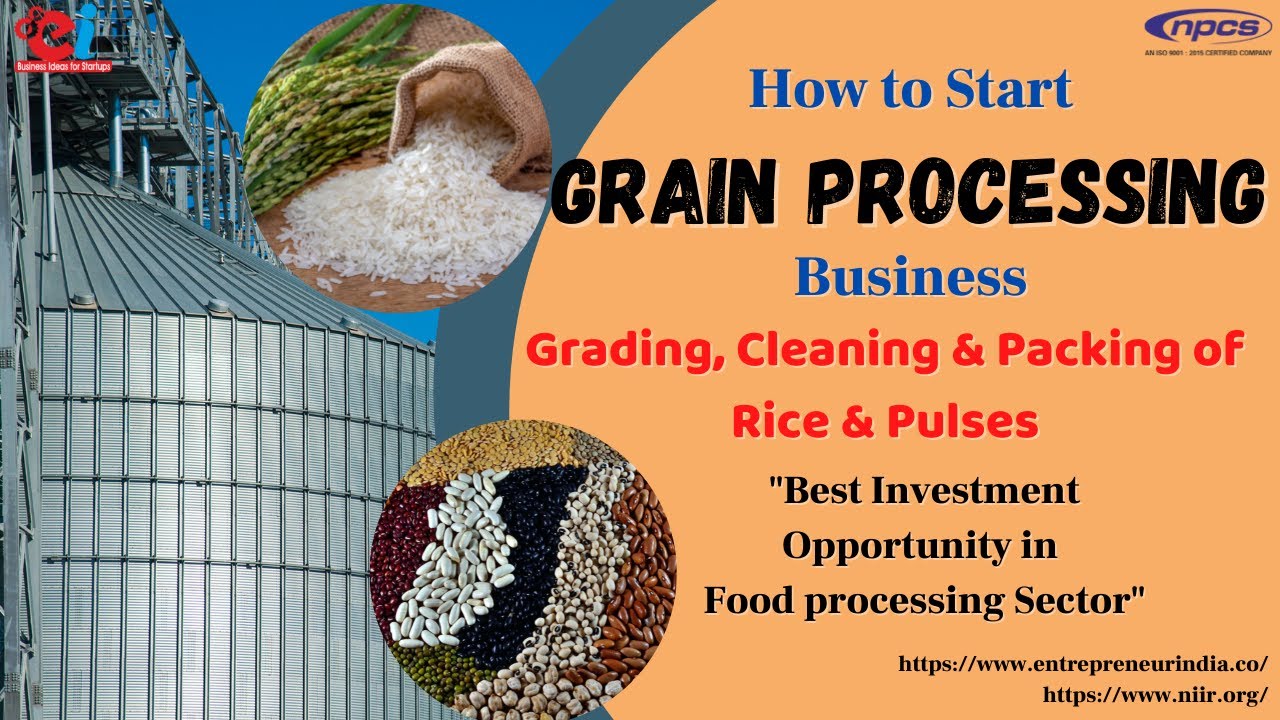How to Start Grain Processing Business Grading, Cleaning & Packing of