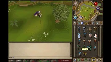 RSPS Dynex - Skillcape Emotes!