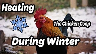 chicken coop heating winter