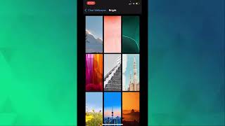 How to Change WhatsApp Background Wallpaper on iPhone screenshot 4