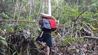 BERMALAM DI TENGAH HUTAN MIKAT BURUNG DAN MANCING IKAN SAHUR DALAM HUTAN RIMBA