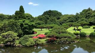 Une Vue Imprenable Sur La Nature