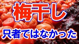 【衝撃】梅干し、7つの健康効果！食べ続けたらスゴかった！今すぐはじめよう！