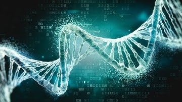 Unlocking the Secrets of Our DNA: Human Genome Sequencing!