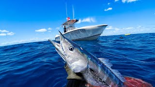 The Wolf Pack | Wahoo Every Drift | Commercial Spearfishing